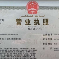 新疆乌鲁木齐创演影视文化传媒有限公司