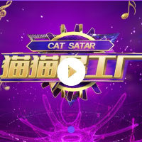 猫猫星工场